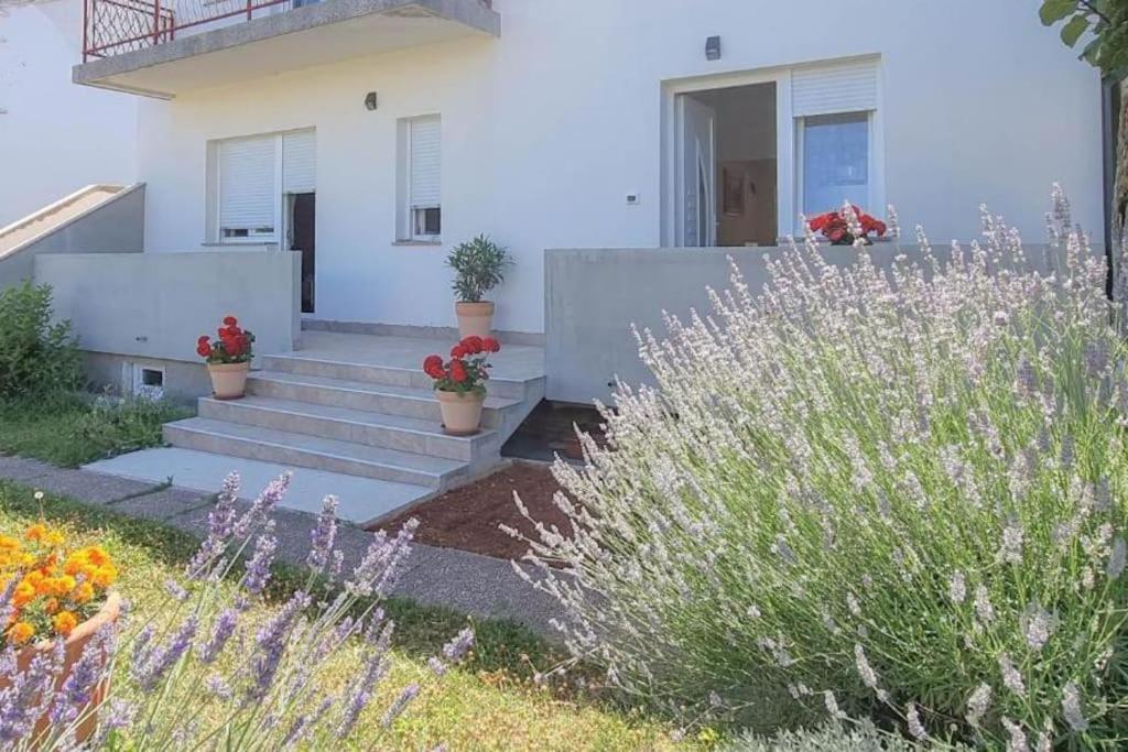 App Racy Apartamento Umago Exterior foto